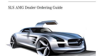Leaked AMG Mercedes SLS Dealer Guide Details Extravagant Options